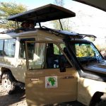 Nairobi orphanage half day tour