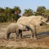 amboseli-national-park
