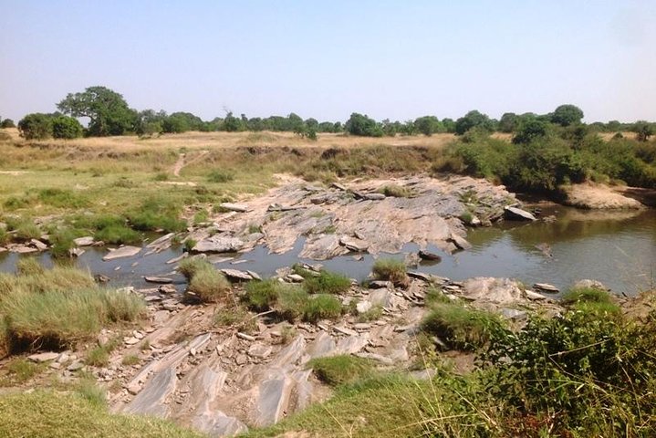 c4 c4