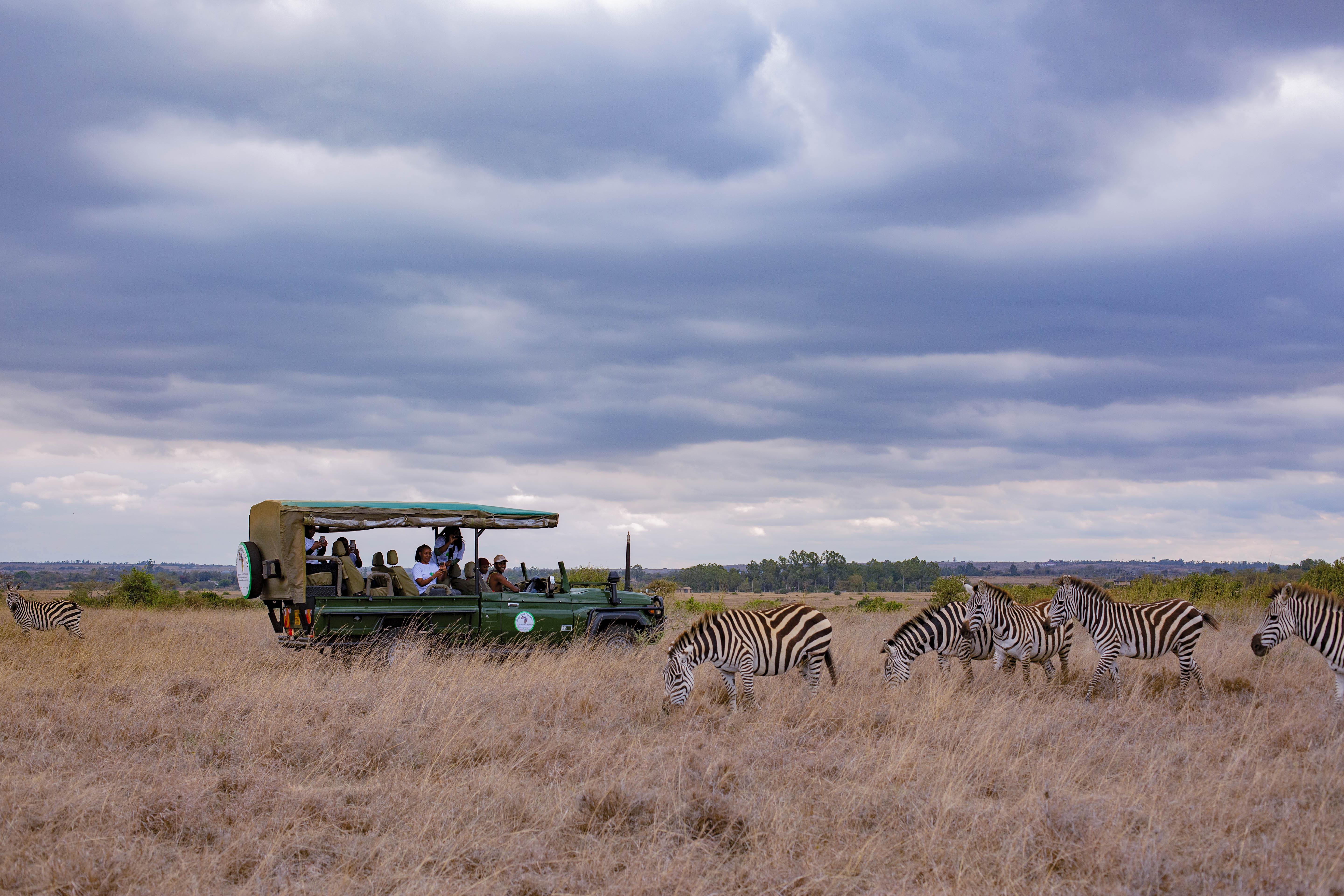 Open Jeep tour