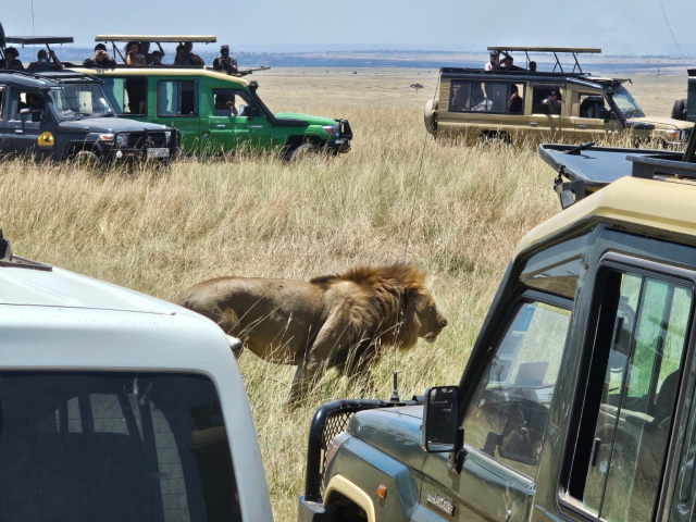 11 Days Machame Route Kilimanjaro & Tanzania Safari