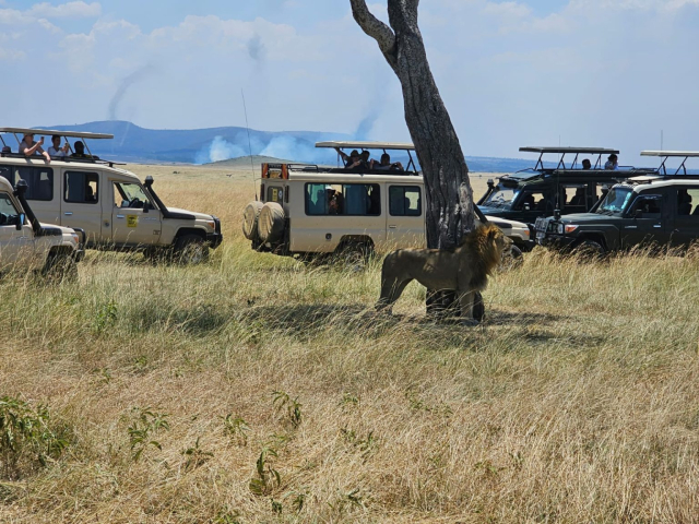 6 Days Maasai Mara, Amboseli & Tsavo Safari