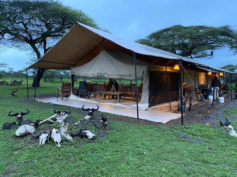 3 days Maasai Mara Budget Safari