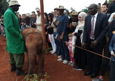 Nairobi Park, Elephants, Giraffe Center And Bomas